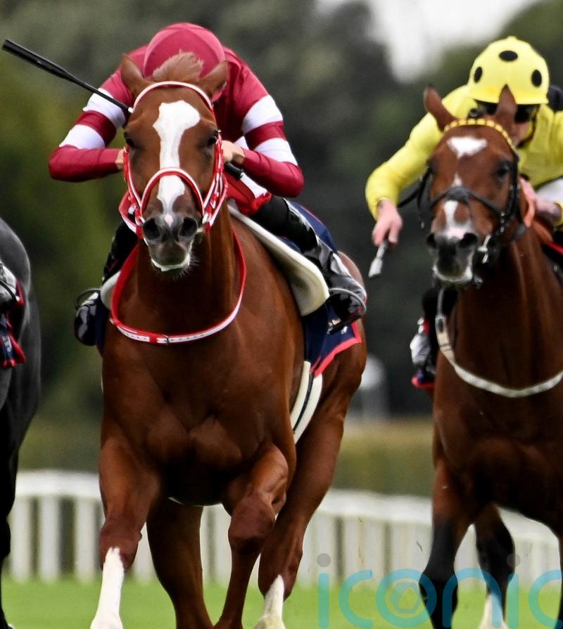 Shin Emperor camp hopeful of going two places better at Leopardstown