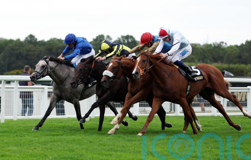 Paris on Arc day in sight for A Bit Of Spirit