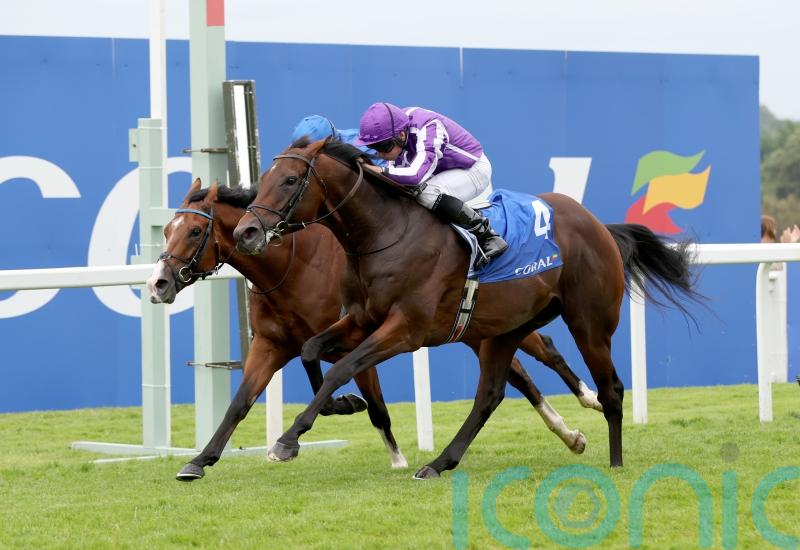 Delacroix takes on seven in his Irish Champion Stakes quest