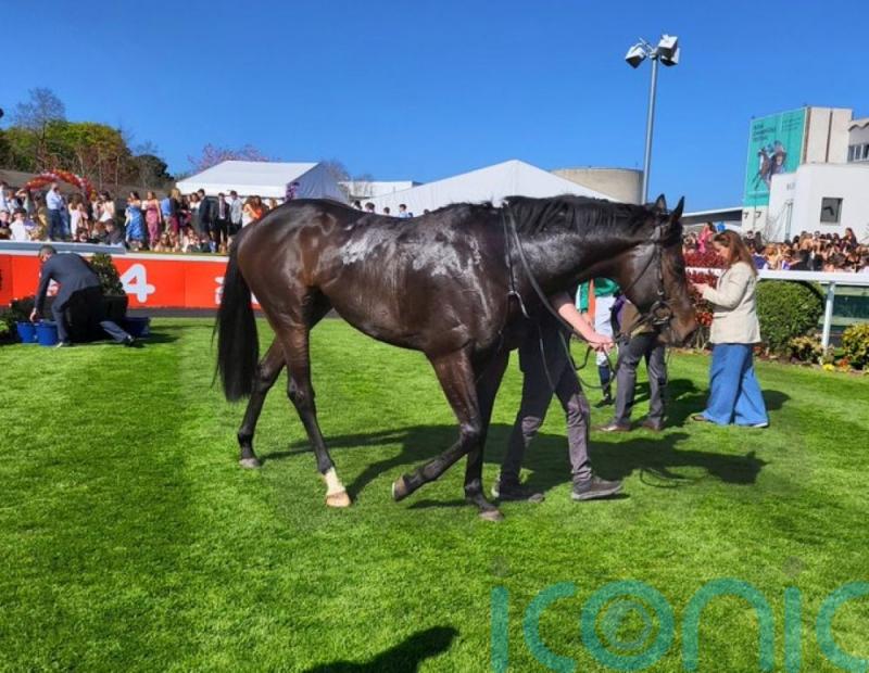 &lsquo;Weather-watch&rsquo; for leading Solonoway contender Alakazi