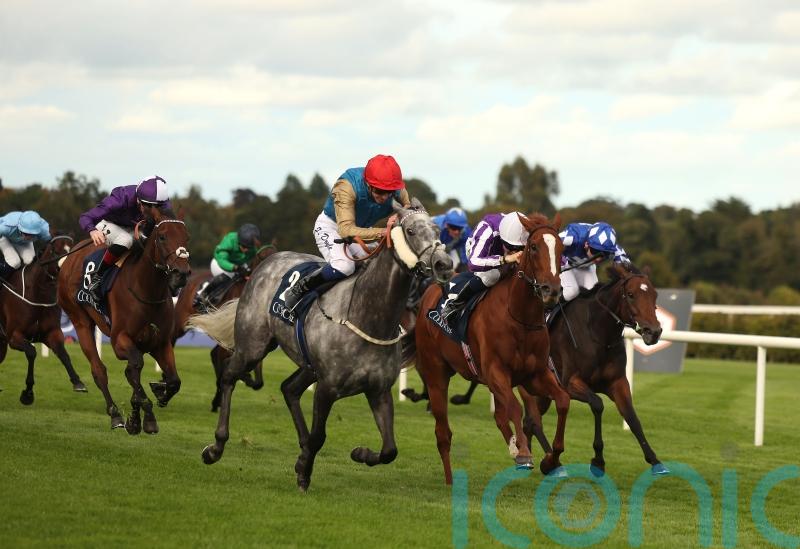 Fallen Angel firmly on course for Sun Chariot