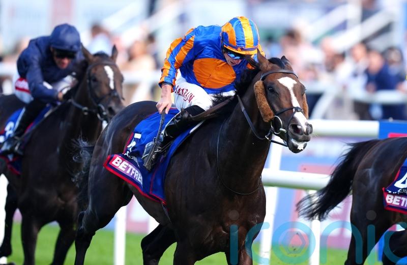 Aidan O&rsquo;Brien opts against Melbourne Cup with Scandinavia