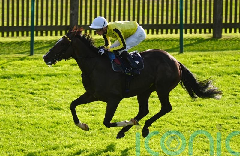 Burdett Road defending Newmarket crown before big hurdling clash