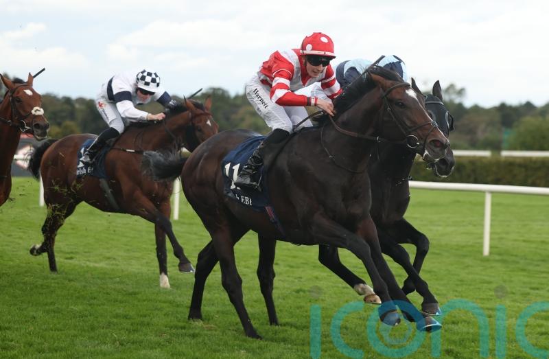 Donnacha O&rsquo;Brien confident Happy Pharoah can shine in Irish Cesarewitch