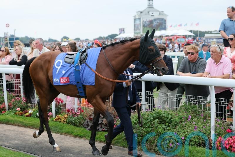 Foret run could provide Maranoa Charlie&rsquo;s career finale