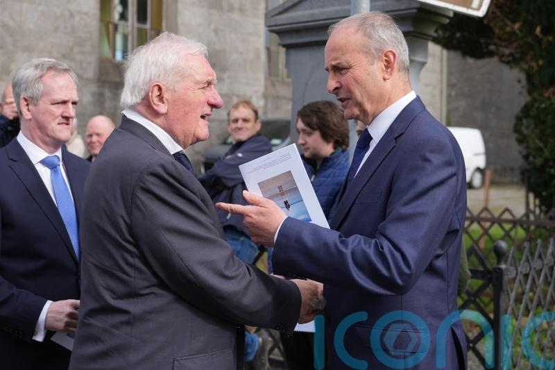 Bertie Ahern presidential bid would have been &lsquo;bruising&rsquo; for him, says Martin
