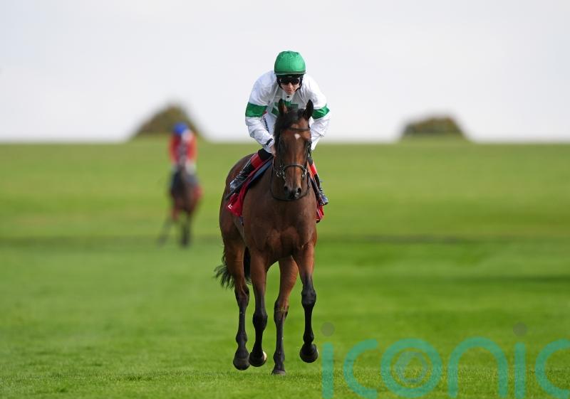 Champions Day the only option for Tamfana before sale