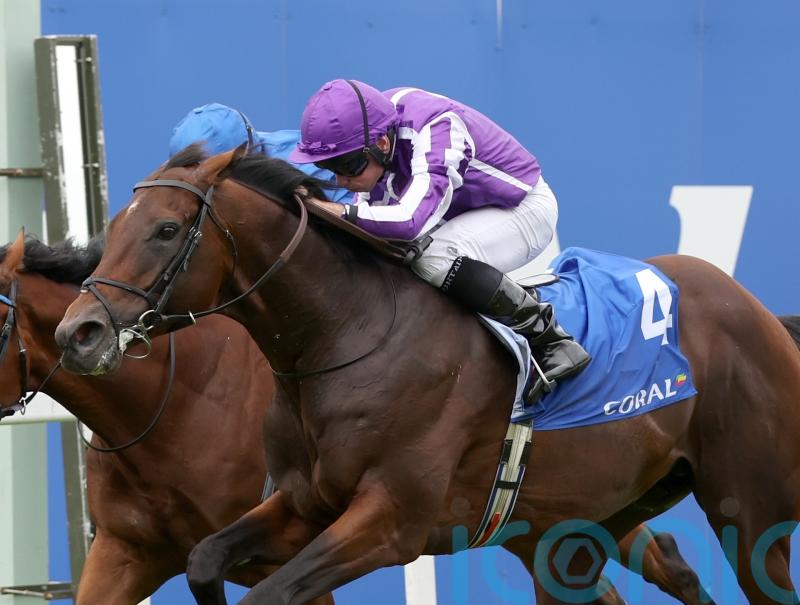 Delacroix given go-ahead for Champions Day run