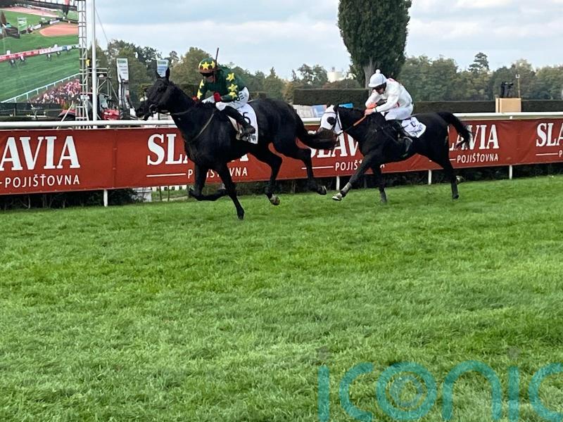 Cheltenham Festival repeat a priority for Pardubicka hero Stumptown