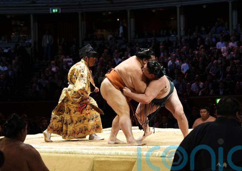 Sumo wrestling returns to London at a sold out Royal Albert Hall
