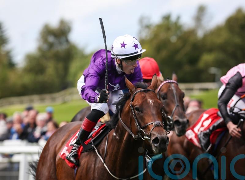 Murray preparing to unleash classy Breeders&rsquo; Cup pair