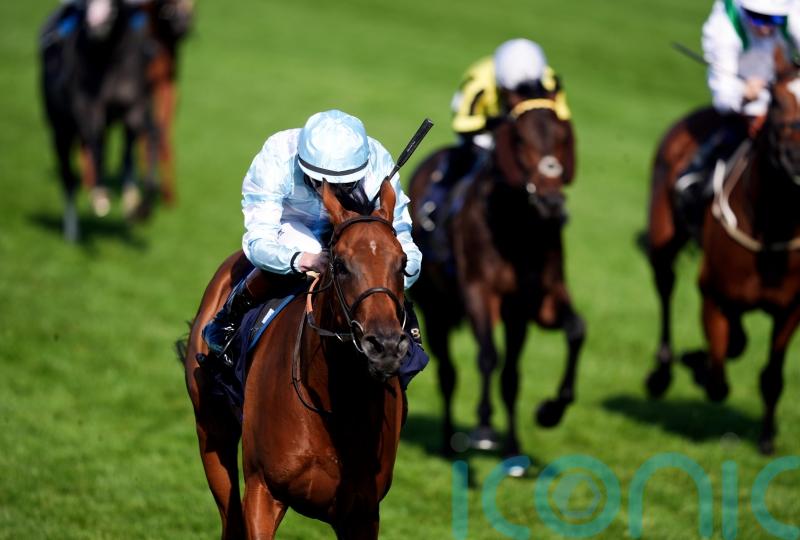 Amiloc to spearhead Beckett&rsquo;s Breeders&rsquo; Cup challenge