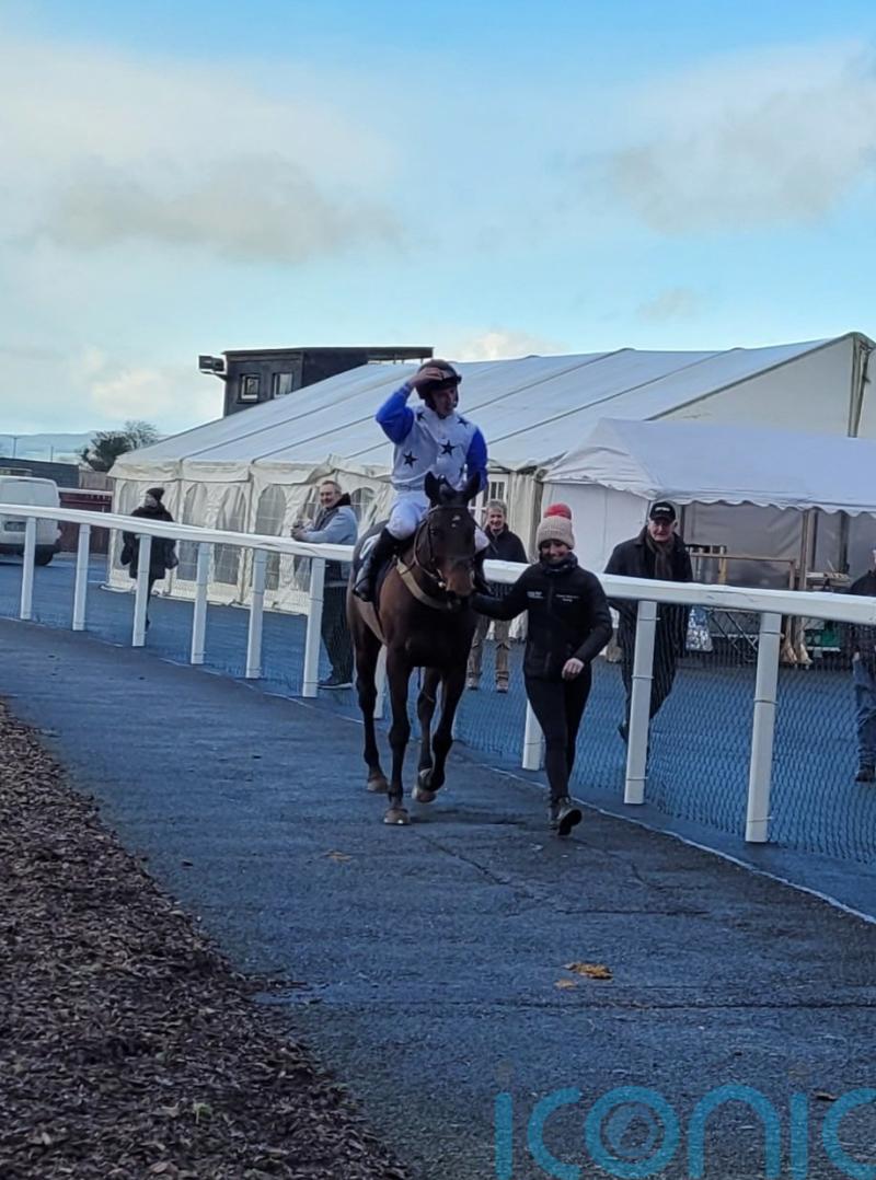 Marsh Wren weekend run hinges on Haydock rain