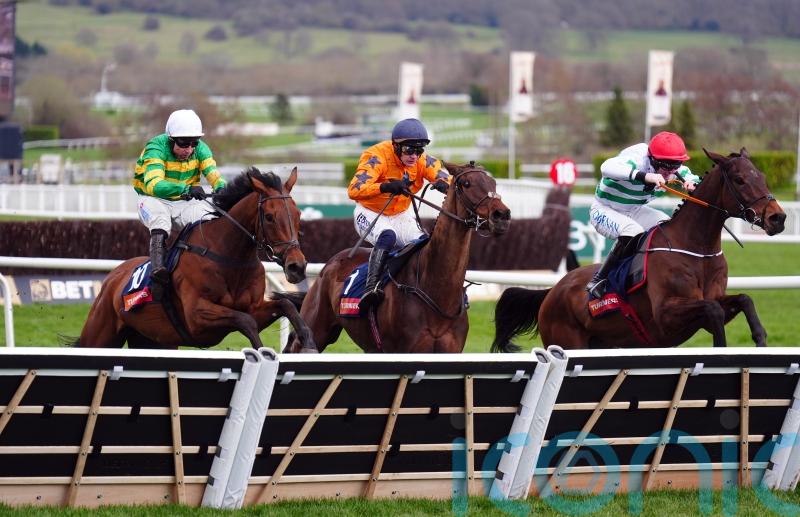 Skelton to take time in plotting The New Lion route