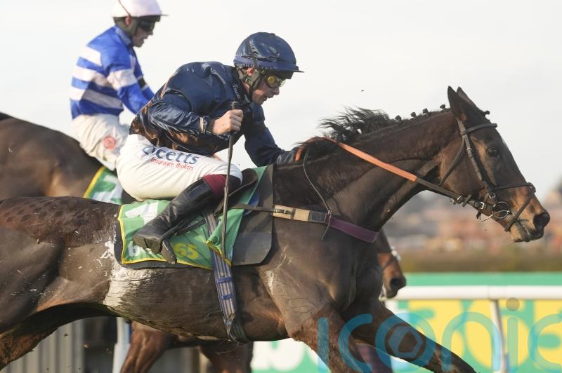 Peterborough run could be key to Djelo King George hopes