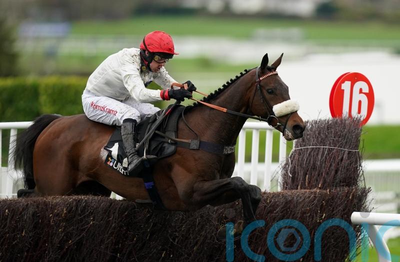 Festival hero Chianti Classico all set to enjoy happy retirement