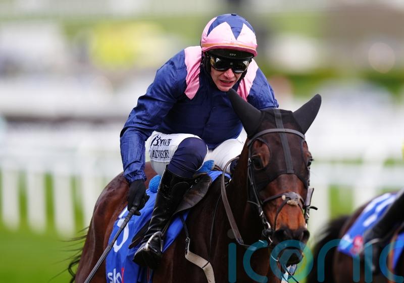 Kopek Des Bordes will miss festive outing at Leopardstown