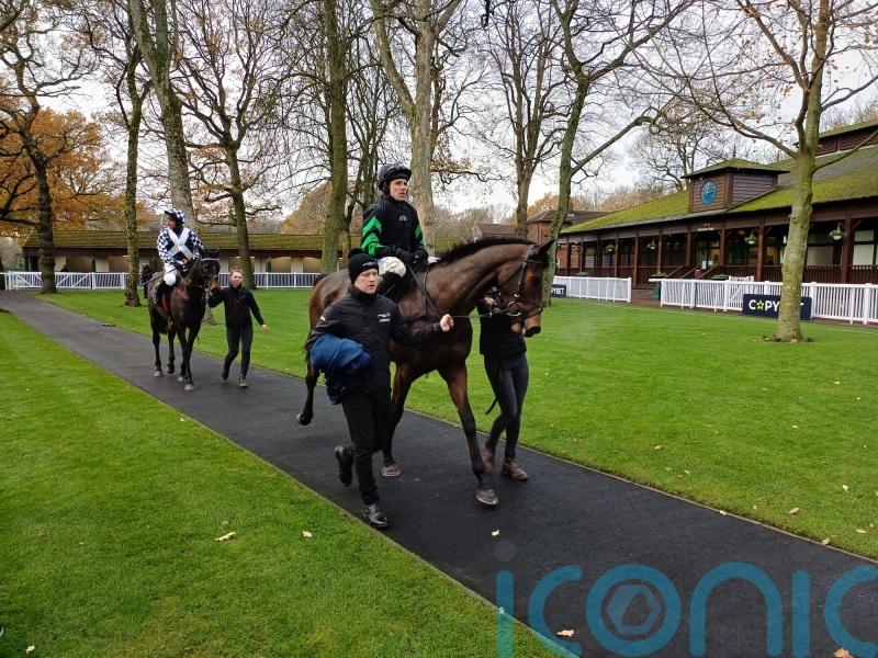 Supreme favourite Mydaddypaddy among Formby entries