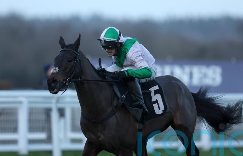 Wilful a welcome Ascot winner for resurgent O&rsquo;Neill team