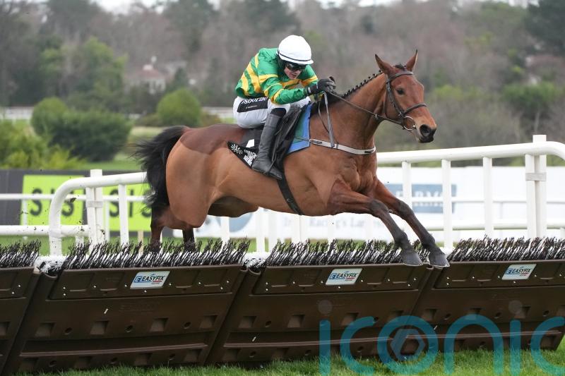 Narciso Has smart look to him at Leopardstown