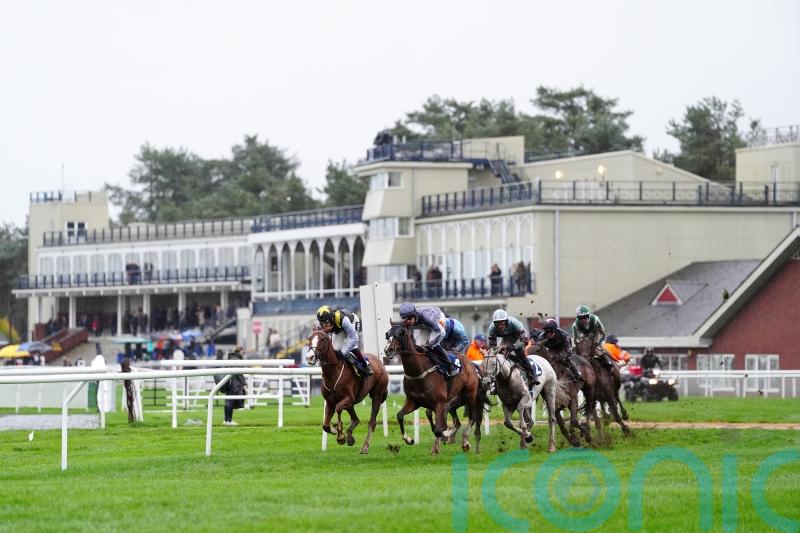 Ludlow and Lingfield call off Monday fixtures
