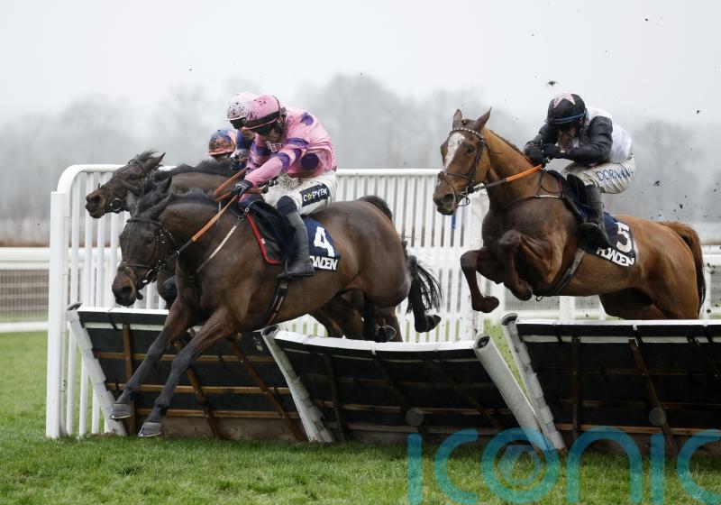 Two-time Long Walk Hurdle winner Crambo retired