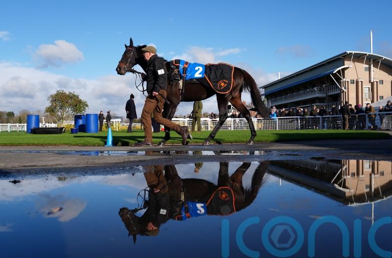 Warwick call inspection ahead of Saturday card