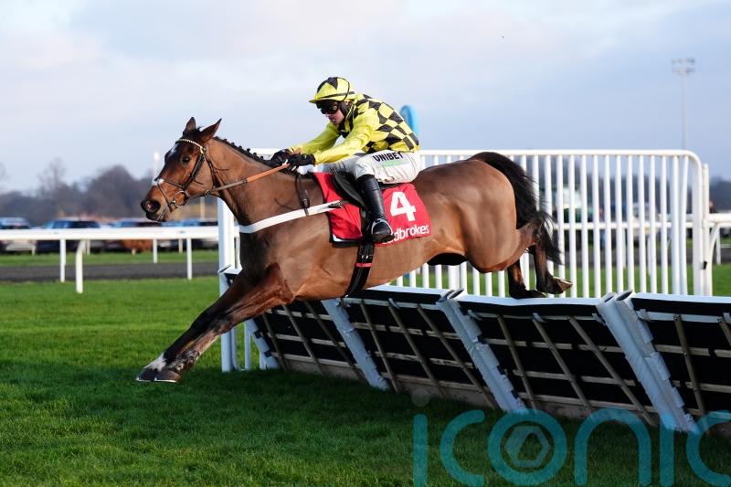 Star names all feature in Champion Hurdle list