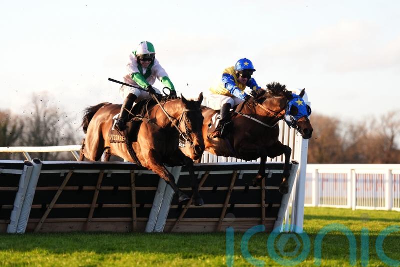 More nice prizes to come for Wilful, says O&rsquo;Neill