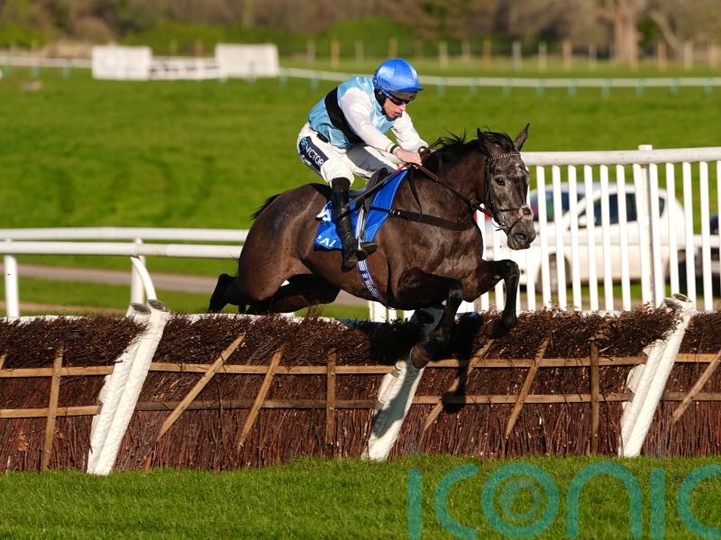 Tenter Le Tout to try Triumph company at Cheltenham