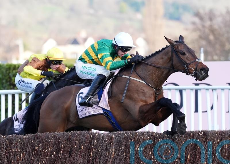 Hopes high for Inothewayurthinkin revival at Leopardstown