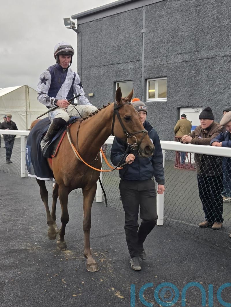 El Cairos survives minor scare to put Cheltenham case