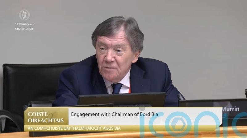 &lsquo;I&rsquo;m not a champion for Brazil&rsquo;, Bord Bia chairman tells committee