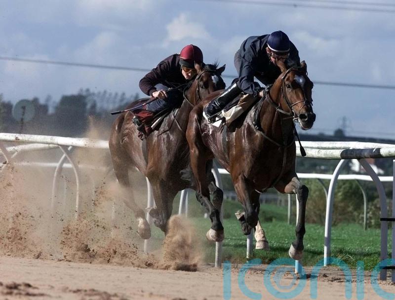 Constitution Hill only the latest racing great to grace Southwell