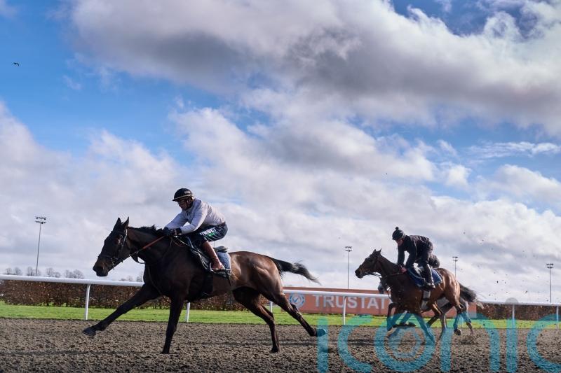 Henderson confident he has big guns firing for opening day of Cheltenham
