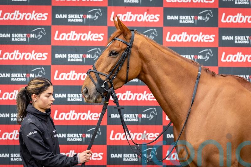 Maestro Conti and Panic Attack exciting Skelton