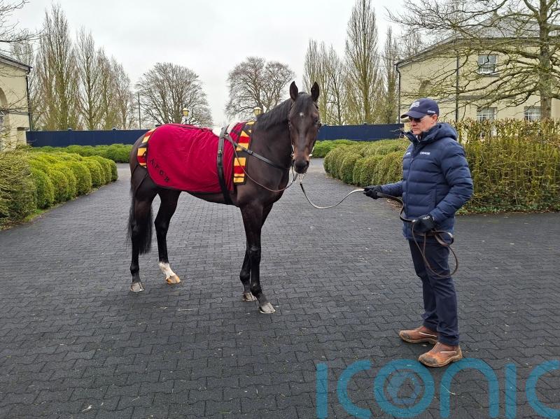 &lsquo;Unbelievable&rsquo; Albert Einstein the leading Guineas hope for Aidan O&rsquo;Brien