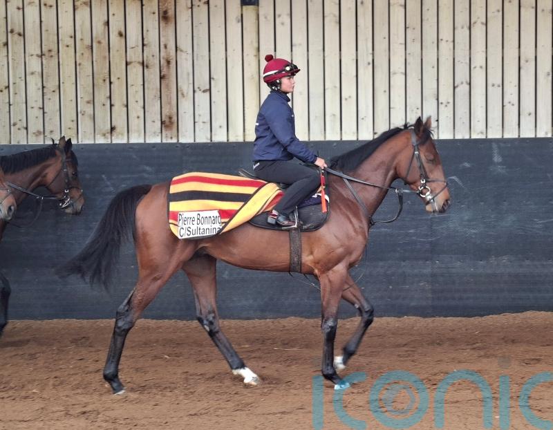 Home comforts likely for Pierre Bonnard before Epsom