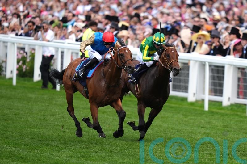 Lazzat out to atone for Saudi near-miss in Dubai