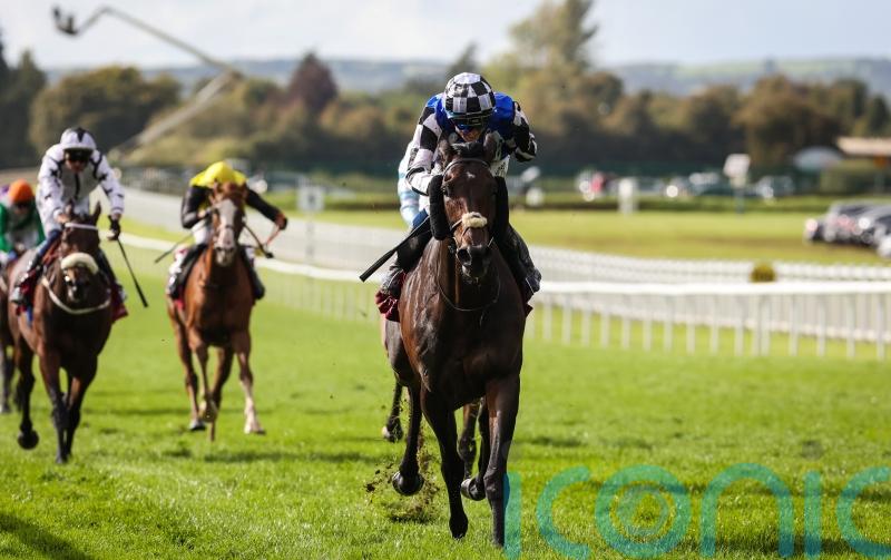 Al Riffa part of strong Dubai Gold Cup bid for Joseph O&rsquo;Brien