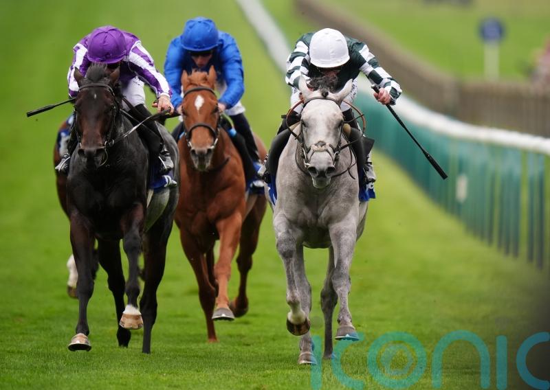 Dewhurst hero Gewan limbering up for Greenham start