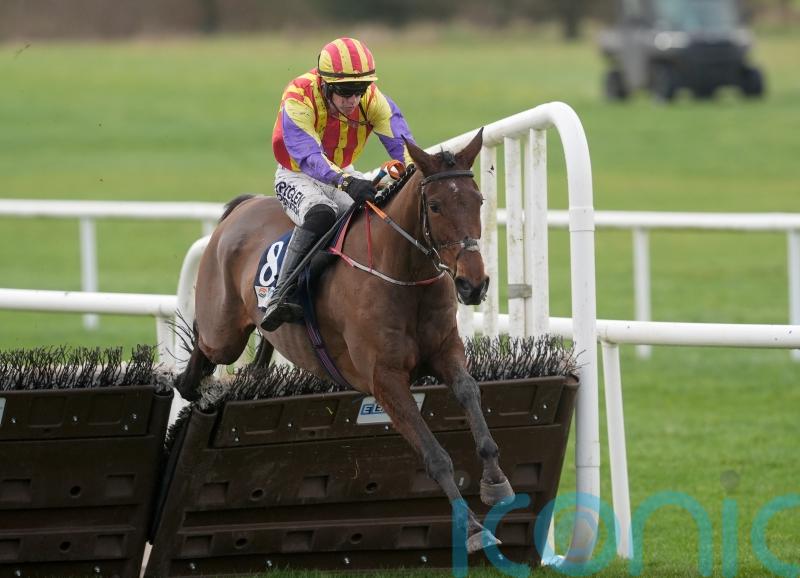 Zanoosh out to extend winning streak in Honeysuckle Hurdle