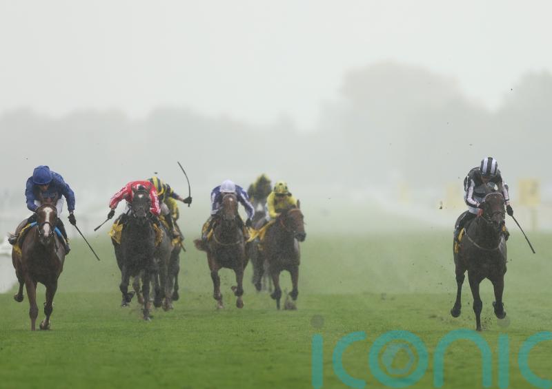 Into The Sky could chart direct path to 2000 Guineas