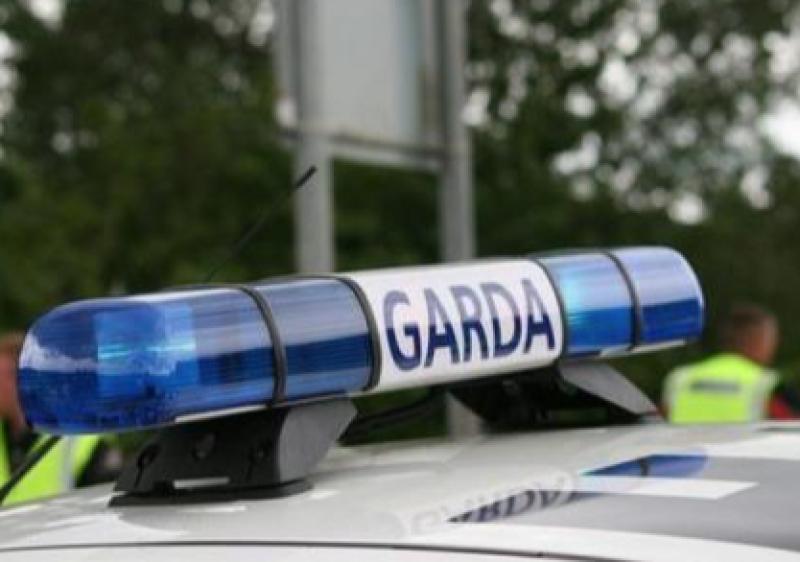 Garda&iacute; seize drugs worth almost &euro;700,000 and arrest three in connection 
